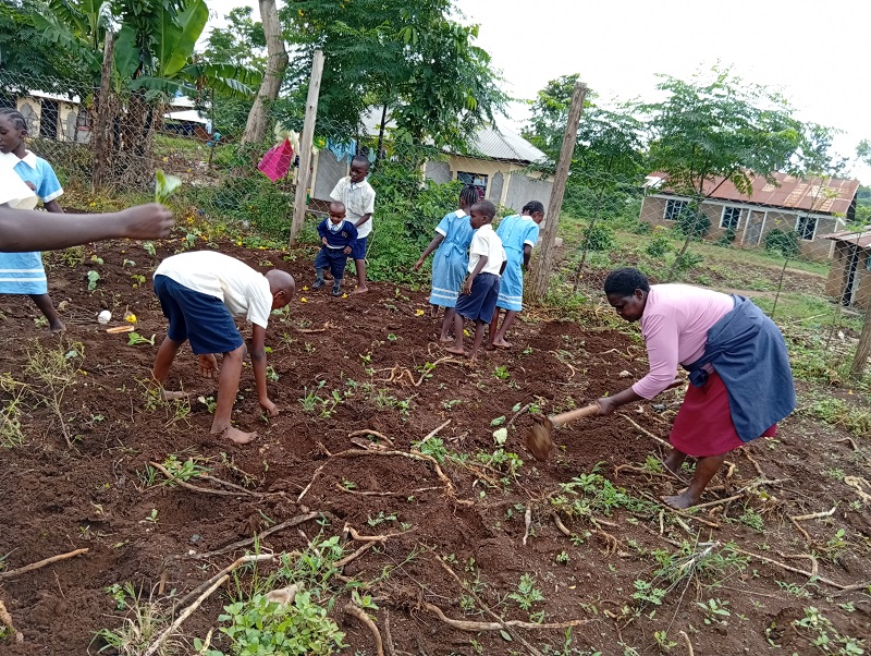 farm 7