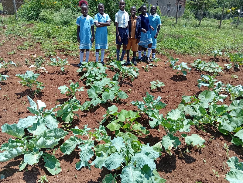 farm 18